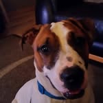 Scott Basham - @scott.basham99 - Instagram