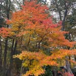 Scott Bateman - @scott.bateman.3781 - Instagram