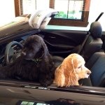Scott Baugh - @scottjbaugh - Instagram