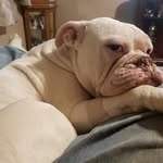 Scott Baugh - @sbaugh54 - Instagram
