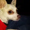 Scott Baugh - @scott.baugh - TikTok