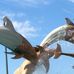 Scott Baumgardner - Facebook