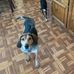 Scott Baumgartner - Facebook