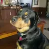 scottdbaumgartner - @scottdbaumgartner - TikTok