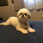 Scott Bayer - @scott.bayer - Instagram