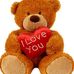 Scott Bear - Facebook