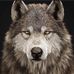 Scott Bearden - Facebook
