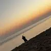 scottbeasley467 - @scottbeasley467 - TikTok