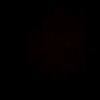 Scott Beckham - @scott.beckham4251 - TikTok