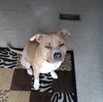 Scott Becknell - Facebook