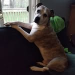 Scott Bednarski - @scott.bednarski.7 - Instagram