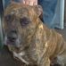Scott Beere - Facebook