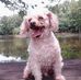 Scotty Bedwell - Facebook