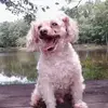 Scotty Bedwell - @scotty.bedwell - TikTok