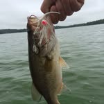 Scott Beecher - @scott_beecher - Instagram