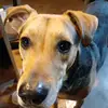 scottbehan806 - @scottbehan806 - TikTok