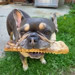 Scott Behling - @flixjunkie - Instagram