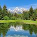 Scott Benner - Facebook