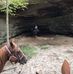 Scott Barringer - Facebook
