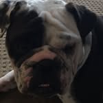 Scott Beiter - @scott_beiter - Instagram