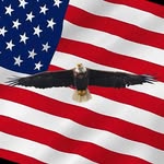 Scott Belanger - @darkroomeagle - Instagram