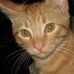 Scott Belknap - Facebook