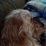 Christian Scott Belue - @christian_belue_5 - Instagram