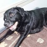 Scott Beman - @scottbeman - Instagram