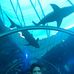 Scott Bembenek - Facebook