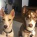 Scott Bembenek - Facebook