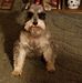 Scott Bence - Facebook