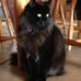 Scott Benjamin - Facebook