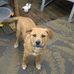 Cameron Scott Benningfield - Facebook