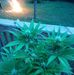 Scott Bentrup - Facebook