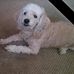 Scott Bentz - Facebook