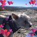 Scott Berglund - Facebook