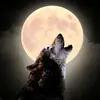 scottbergman8 - @scottbergman8 - TikTok