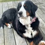Scott Berkenpas - @scottberkenpas - Instagram