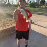 Scott Bernachi - @_hood_vinezz - Instagram