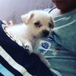 scott_bernal - @scott_bernal29 - Instagram