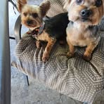 Scott Berndt - Facebook