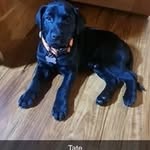Scott Bernhardt - @scottbernhardt27 - Instagram