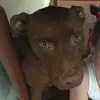 scott beynon - @scott.beynon - TikTok