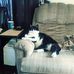 Scotty Bickford - Facebook