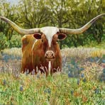Scott Bills - Facebook