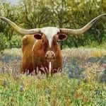 Scott Bills - @scottbills749 - Instagram