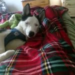 Scott Bisaillon - @scottb541970 - Instagram