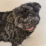 Scott Blackerby - @scottybpetportraits - Instagram
