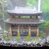 Scott Blanton - @scott.allen.blant - TikTok