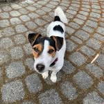@scott_blaseckie - Instagram